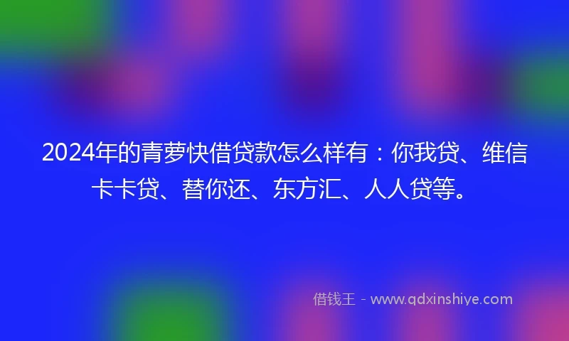 2024年的青萝快借贷款怎么样有：你我贷、维信卡卡贷、替你还、东方汇、人人贷等。