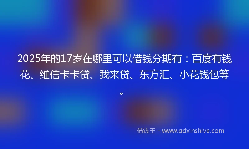 2025年的17岁在哪里可以借钱分期有：百度有钱花、维信卡卡贷、我来贷、东方汇、小花钱包等。