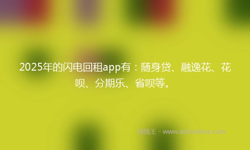 2025年的闪电回租app有：随身贷、融逸花、花呗、分期乐、省呗等。