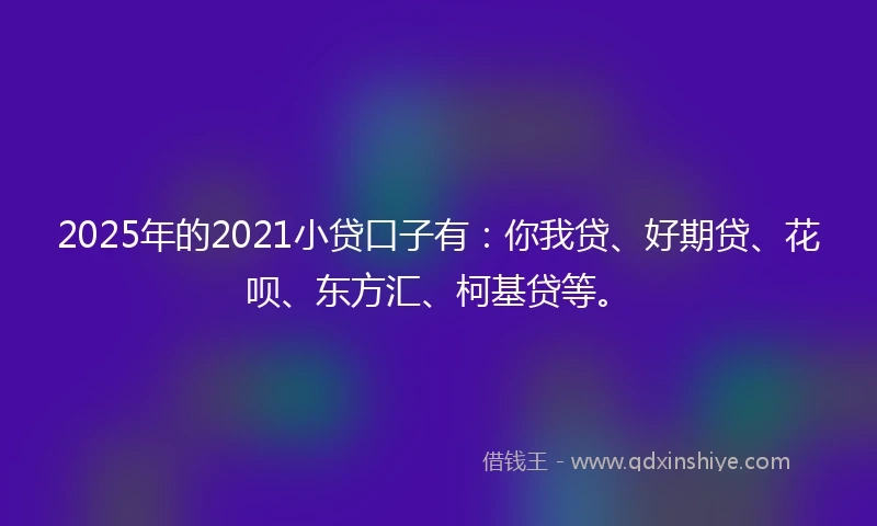 2025年的2021小贷口子有：你我贷、好期贷、花呗、东方汇、柯基贷等。