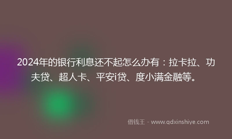 2024年的银行利息还不起怎么办有：拉卡拉、功夫贷、超人卡、平安i贷、度小满金融等。