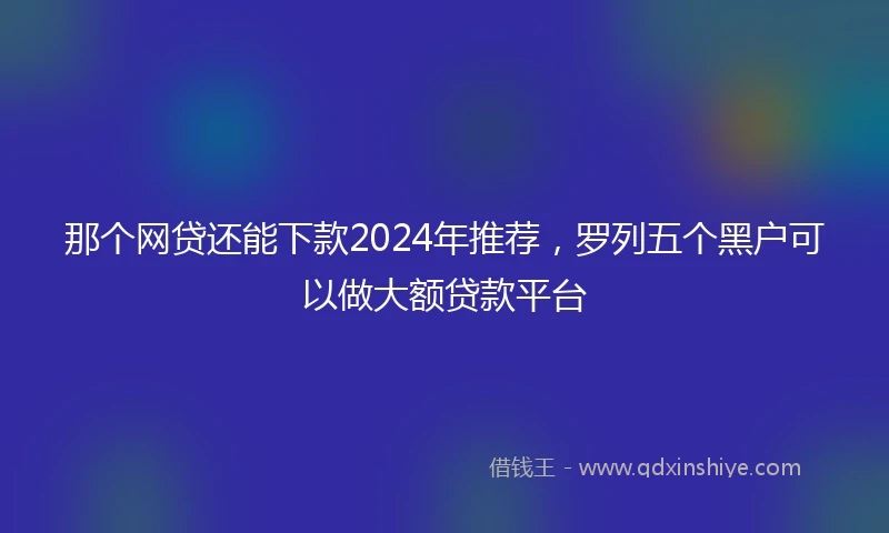 那个网贷还能下款2024年推荐，罗列五个黑户可以做大额贷款平台