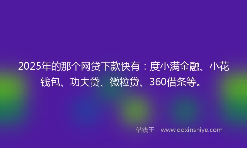 2025年的那个网贷下款快有：度小满金融、小花钱包、功夫贷、微粒贷、360借条等。