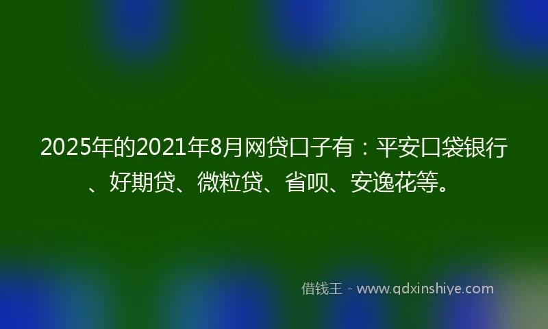 2025年的2021年8月网贷口子有：平安口袋银行、好期贷、微粒贷、省呗、安逸花等。