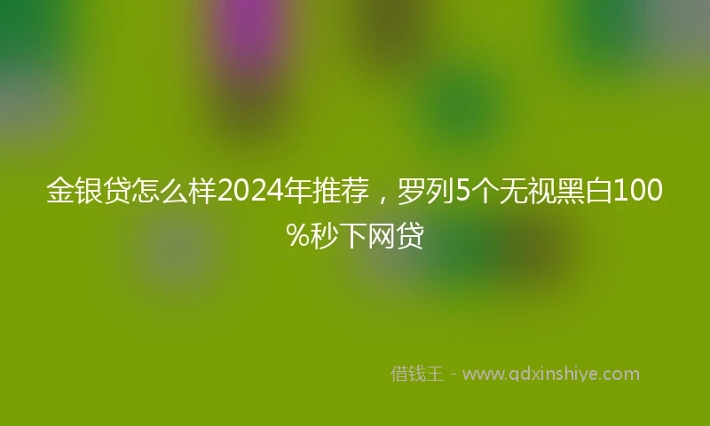 金银贷怎么样2024年推荐，罗列5个无视黑白100%秒下网贷