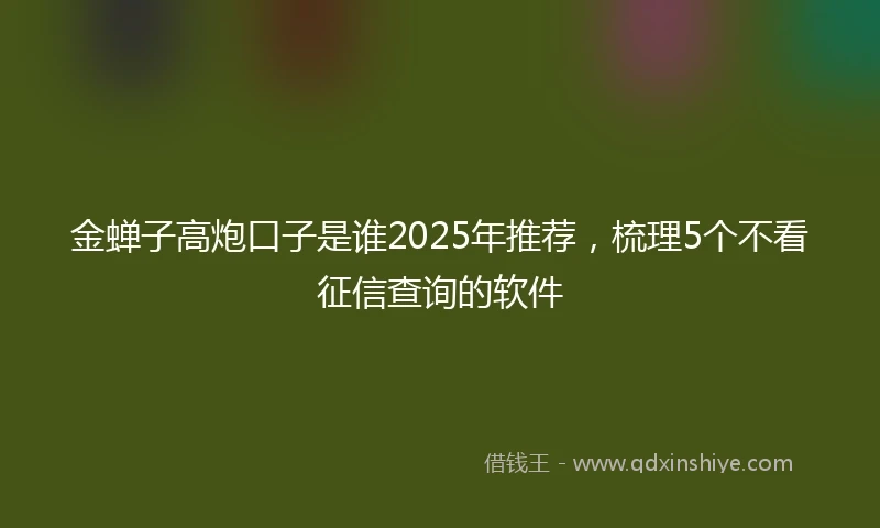 金蝉子高炮口子是谁2025年推荐，梳理5个不看征信查询的软件