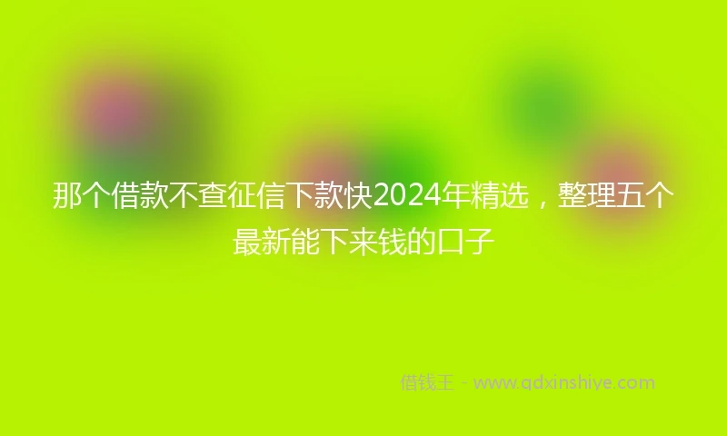那个借款不查征信下款快2024年精选，整理五个最新能下来钱的口子