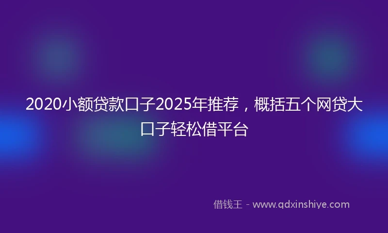 2020小额贷款口子2025年推荐，概括五个网贷大口子轻松借平台