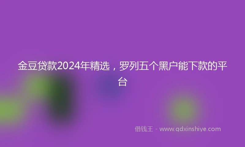 金豆贷款2024年精选，罗列五个黑户能下款的平台