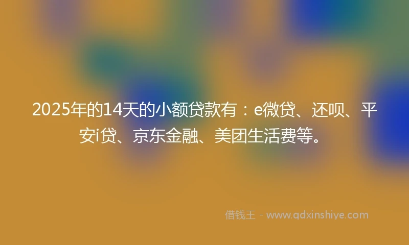 2025年的14天的小额贷款有：e微贷、还呗、平安i贷、京东金融、美团生活费等。