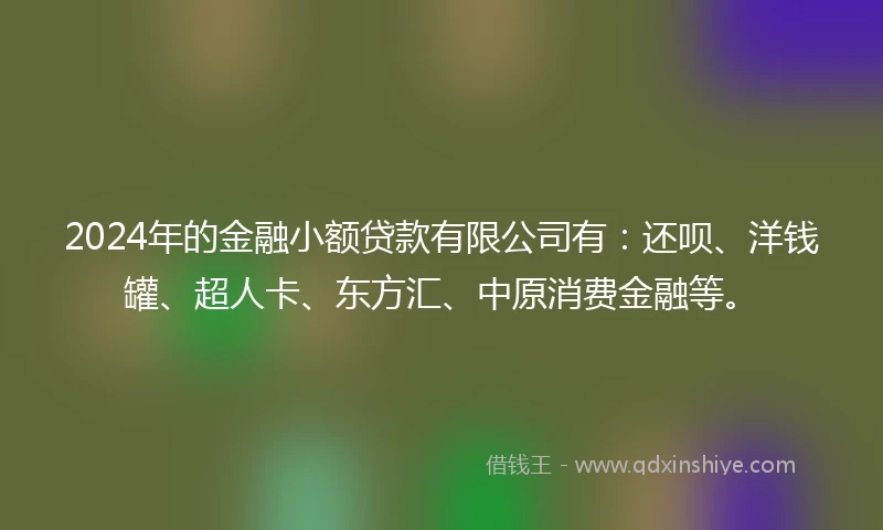 2024年的金融小额贷款有限公司有：还呗、洋钱罐、超人卡、东方汇、中原消费金融等。