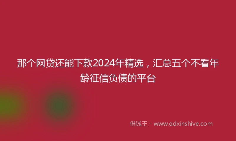 那个网贷还能下款2024年精选，汇总五个不看年龄征信负债的平台