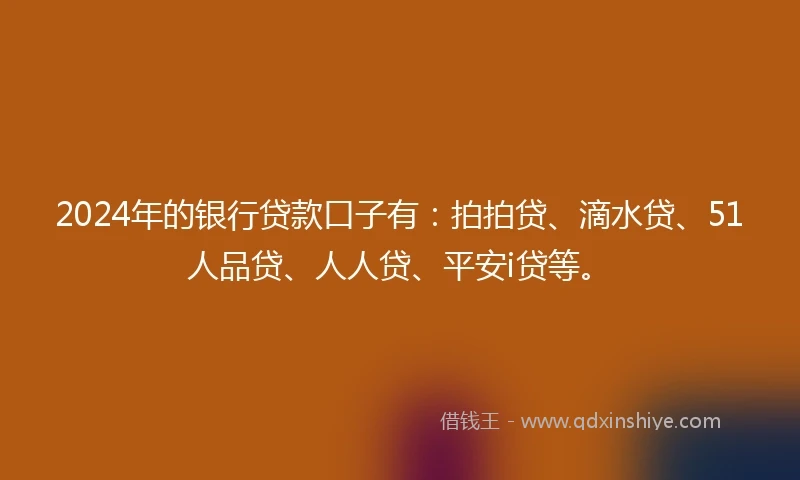 2024年的银行贷款口子有：拍拍贷、滴水贷、51人品贷、人人贷、平安i贷等。