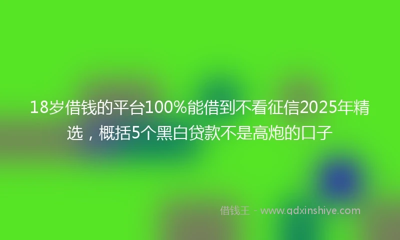 18岁借钱的平台100%能借到不看征信2025年精选，概括5个黑白贷款不是高炮的口子