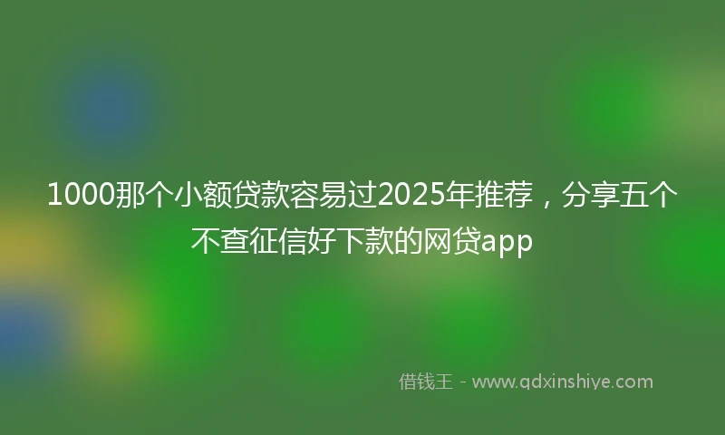 1000那个小额贷款容易过2025年推荐，分享五个不查征信好下款的网贷app
