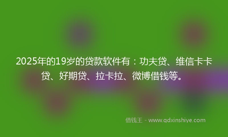 2025年的19岁的贷款软件有：功夫贷、维信卡卡贷、好期贷、拉卡拉、微博借钱等。