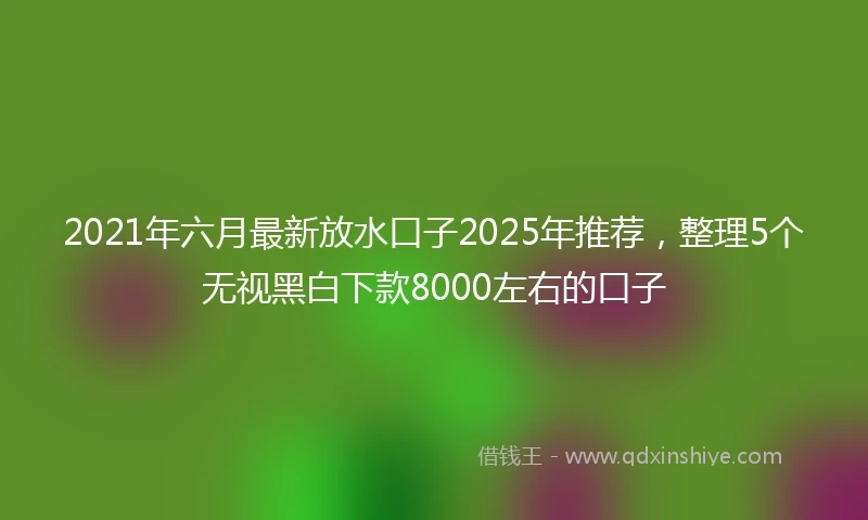 2021年六月最新放水口子2025年推荐，整理5个无视黑白下款8000左右的口子