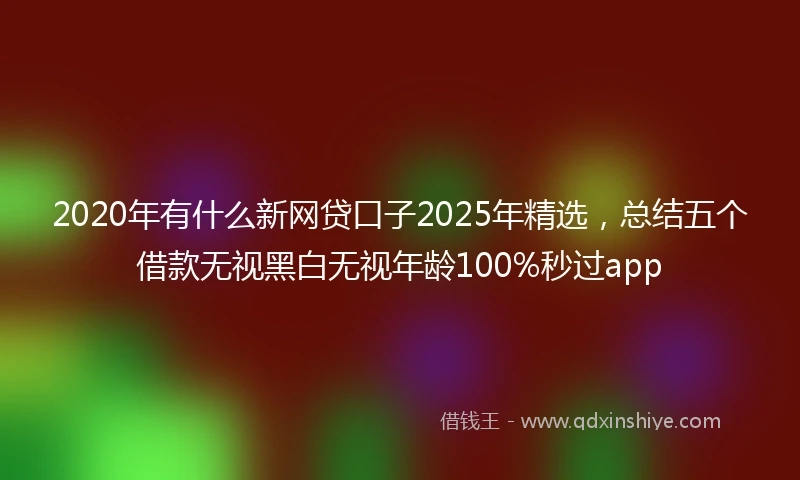 2020年有什么新网贷口子2025年精选，总结五个借款无视黑白无视年龄100%秒过app