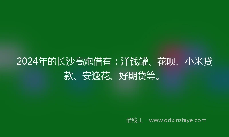 2024年的长沙高炮借有：洋钱罐、花呗、小米贷款、安逸花、好期贷等。