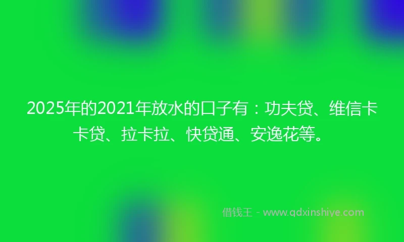 2025年的2021年放水的口子有：功夫贷、维信卡卡贷、拉卡拉、快贷通、安逸花等。