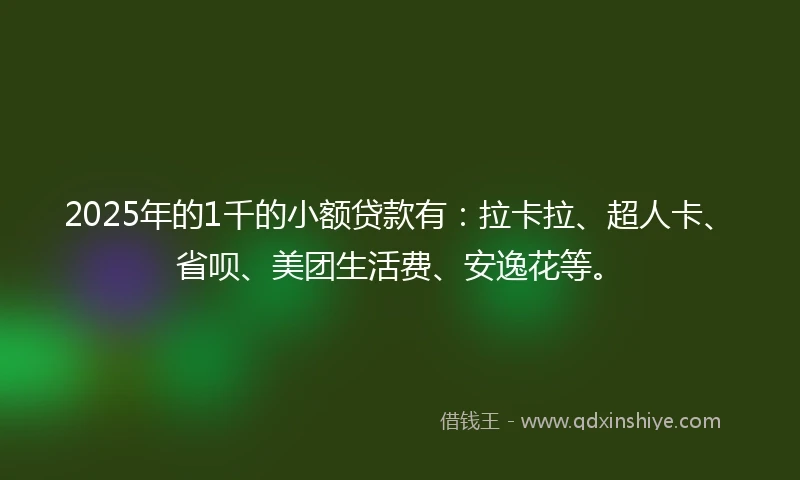 2025年的1千的小额贷款有：拉卡拉、超人卡、省呗、美团生活费、安逸花等。