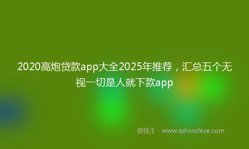 2020高炮贷款app大全2025年推荐，汇总五个无视一切是人就下款app