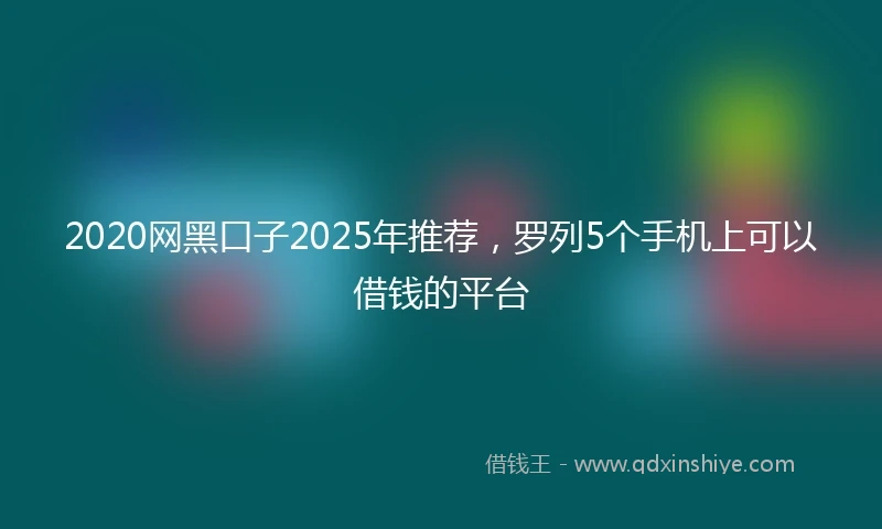 2020网黑口子2025年推荐，罗列5个手机上可以借钱的平台