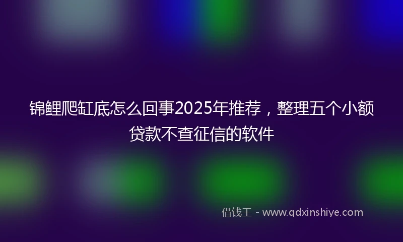 锦鲤爬缸底怎么回事2025年推荐，整理五个小额贷款不查征信的软件