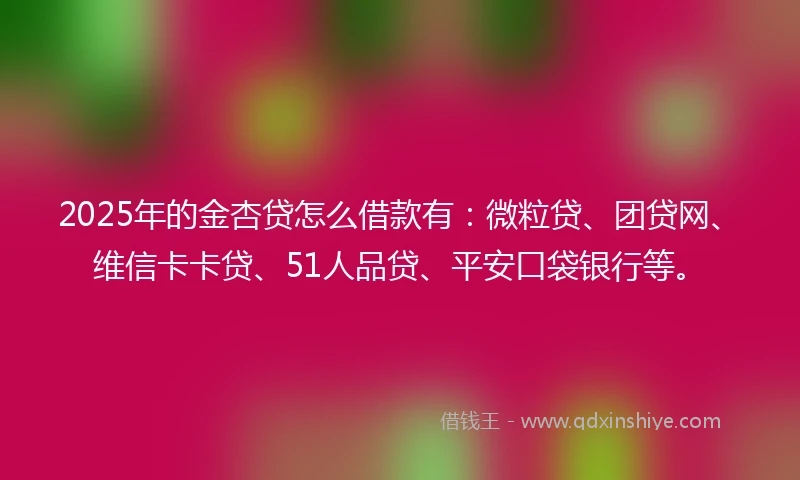 2025年的金杏贷怎么借款有：微粒贷、团贷网、维信卡卡贷、51人品贷、平安口袋银行等。