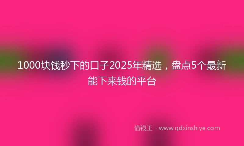 1000块钱秒下的口子2025年精选，盘点5个最新能下来钱的平台