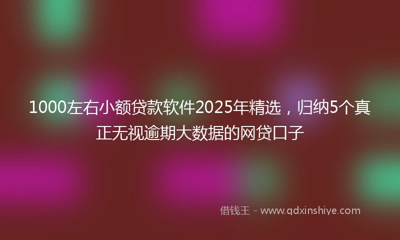 1000左右小额贷款软件2025年精选，归纳5个真正无视逾期大数据的网贷口子