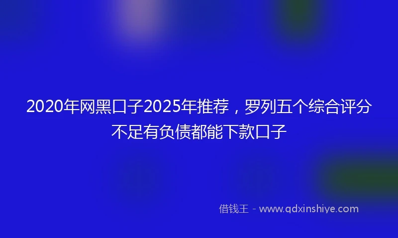 2020年网黑口子2025年推荐，罗列五个综合评分不足有负债都能下款口子