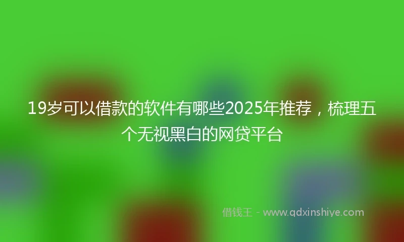 19岁可以借款的软件有哪些2025年推荐，梳理五个无视黑白的网贷平台