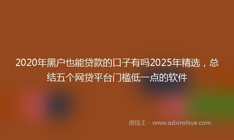 2020年黑户也能贷款的口子有吗2025年精选，总结五个网贷平台门槛低一点的软件