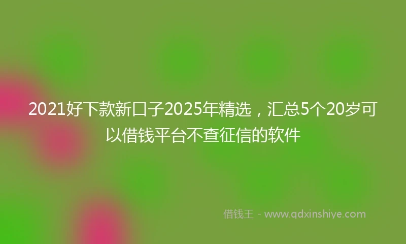 2021好下款新口子2025年精选，汇总5个20岁可以借钱平台不查征信的软件