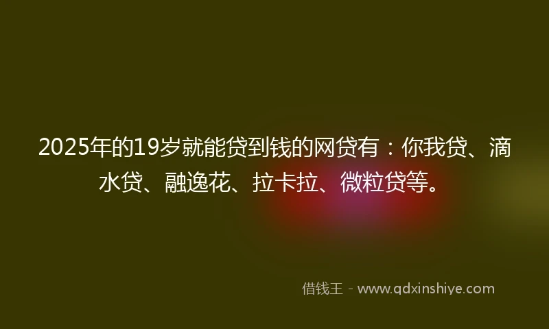 2025年的19岁就能贷到钱的网贷有：你我贷、滴水贷、融逸花、拉卡拉、微粒贷等。