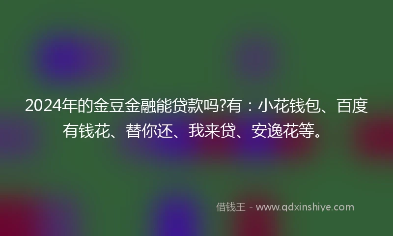 2024年的金豆金融能贷款吗?有：小花钱包、百度有钱花、替你还、我来贷、安逸花等。