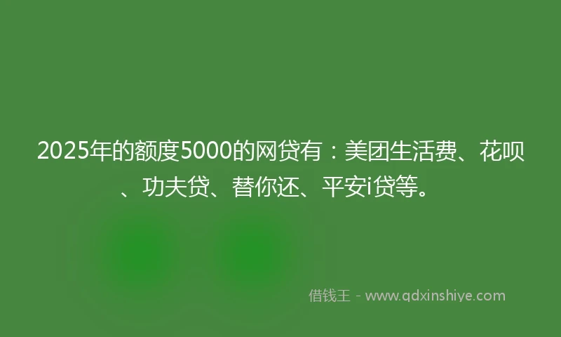 2025年的额度5000的网贷有：美团生活费、花呗、功夫贷、替你还、平安i贷等。