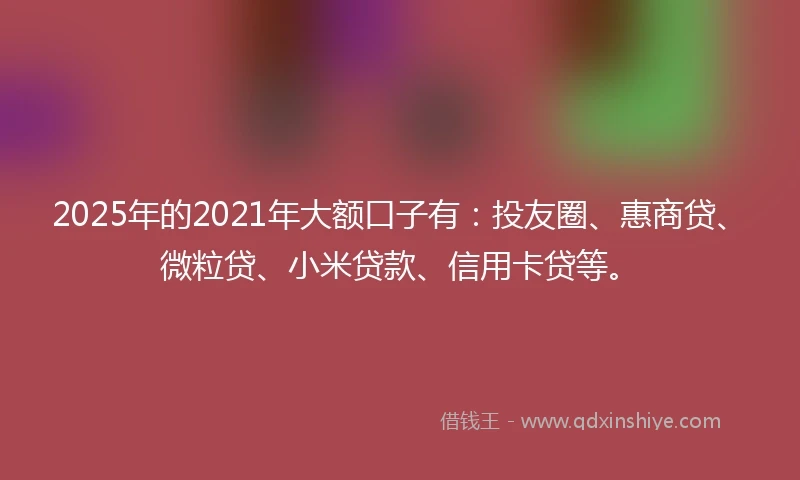 2025年的2021年大额口子有：投友圈、惠商贷、微粒贷、小米贷款、信用卡贷等。
