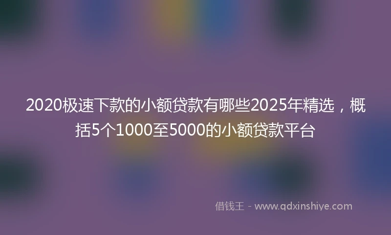 2020极速下款的小额贷款有哪些2025年精选，概括5个1000至5000的小额贷款平台