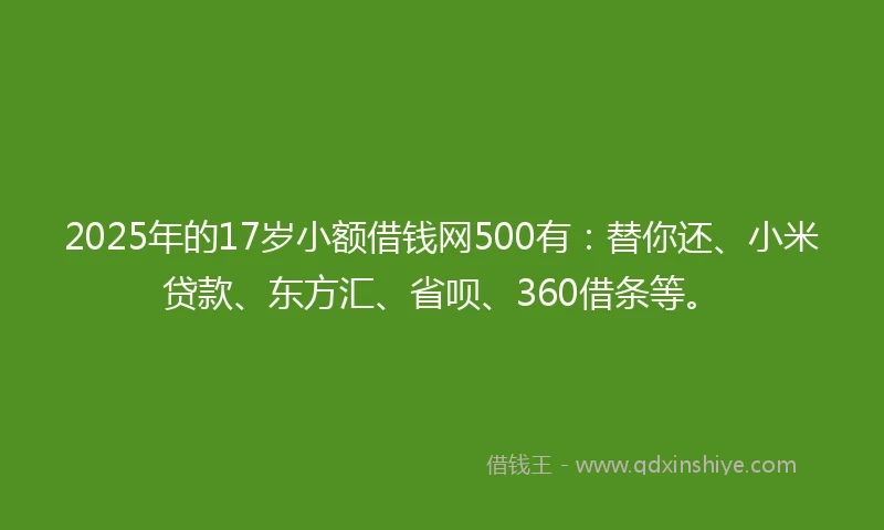 2025年的17岁小额借钱网500有：替你还、小米贷款、东方汇、省呗、360借条等。