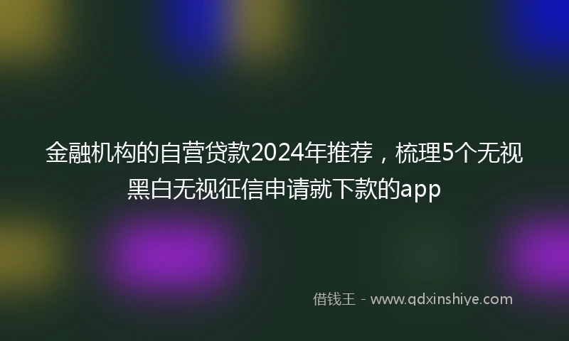 金融机构的自营贷款2024年推荐，梳理5个无视黑白无视征信申请就下款的app