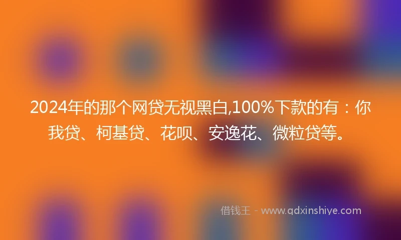 2024年的那个网贷无视黑白,100%下款的有：你我贷、柯基贷、花呗、安逸花、微粒贷等。