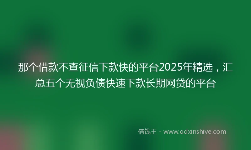 那个借款不查征信下款快的平台2025年精选，汇总五个无视负债快速下款长期网贷的平台