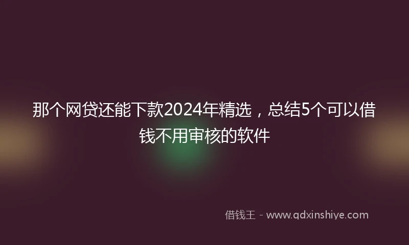 那个网贷还能下款2024年精选，总结5个可以借钱不用审核的软件