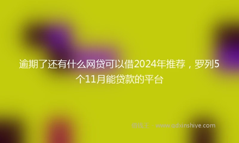 逾期了还有什么网贷可以借2024年推荐，罗列5个11月能贷款的平台