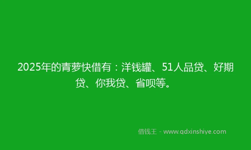 2025年的青萝快借有：洋钱罐、51人品贷、好期贷、你我贷、省呗等。