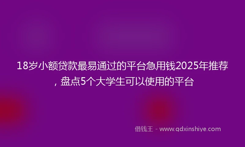 18岁小额贷款最易通过的平台急用钱2025年推荐，盘点5个大学生可以使用的平台