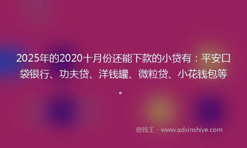 2025年的2020十月份还能下款的小贷有：平安口袋银行、功夫贷、洋钱罐、微粒贷、小花钱包等。