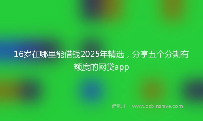 16岁在哪里能借钱2025年精选，分享五个分期有额度的网贷app